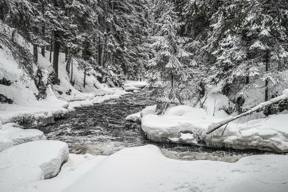 Photograph by Алена Лосева