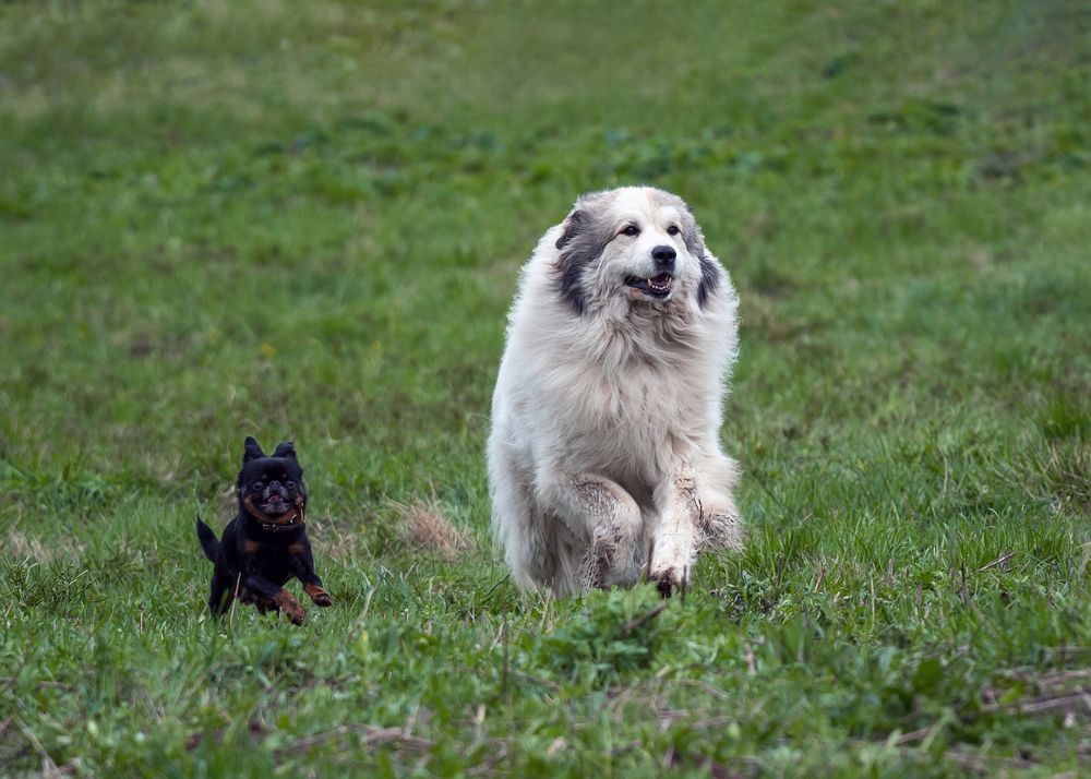 Photograph by Светлана Богданова