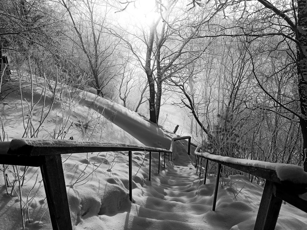 Photograph by Елена Копейкина