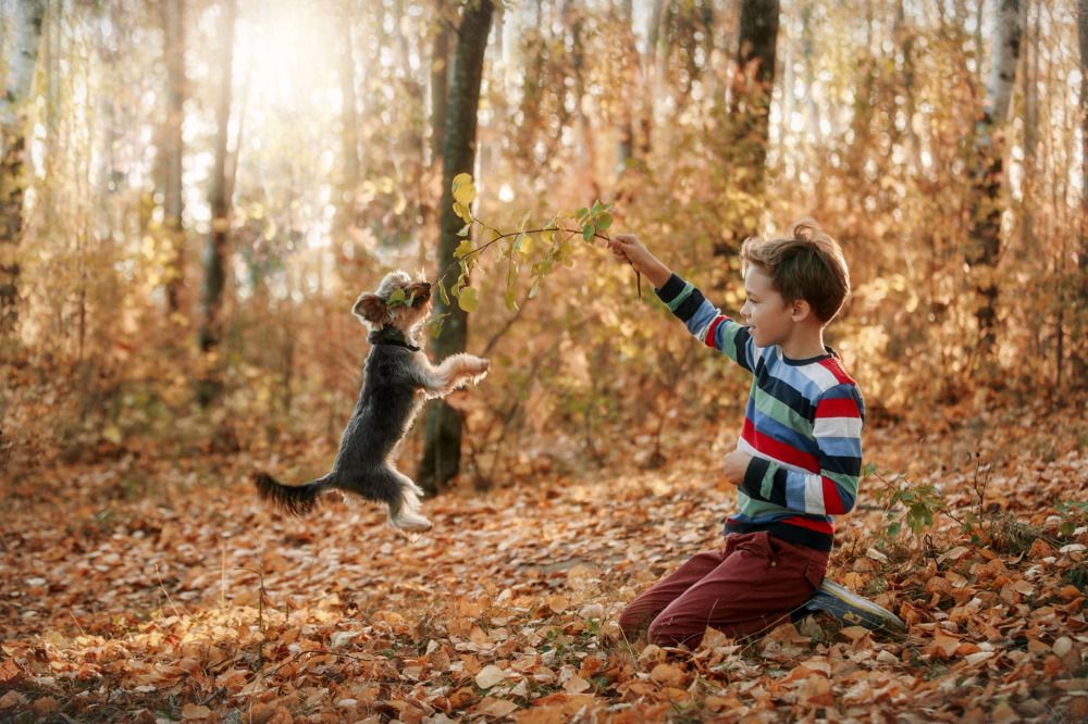 Photograph by Анастасия Голубева