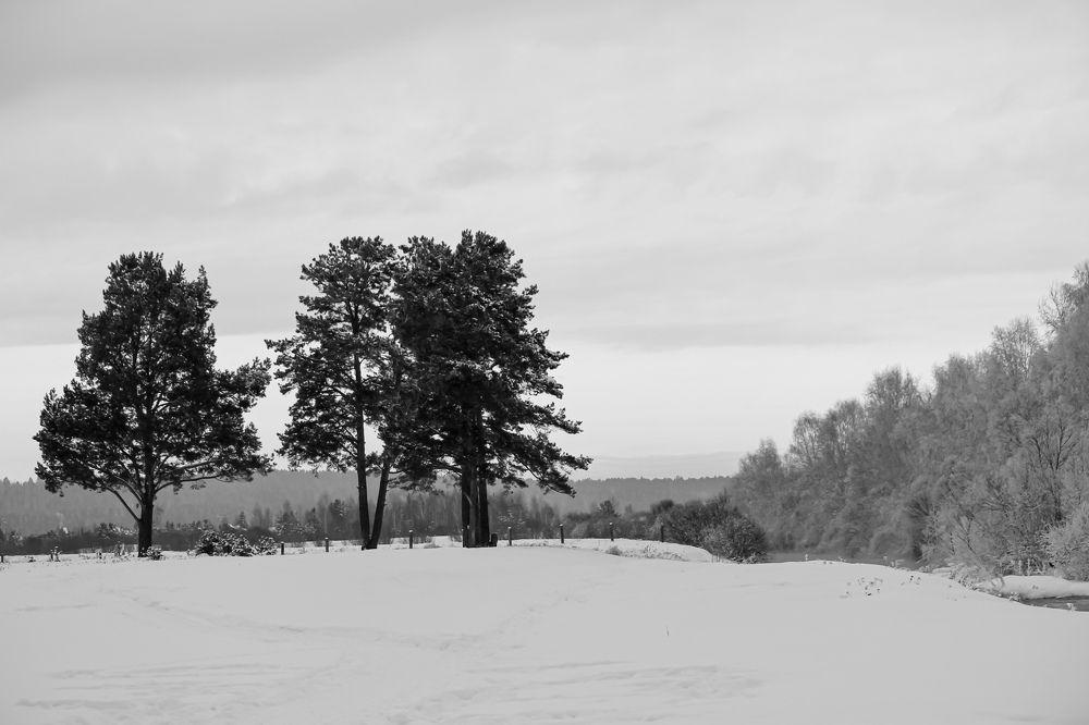 с. Савватеевка, Ангарский район, в парке деревянных скульптур Лукоморье