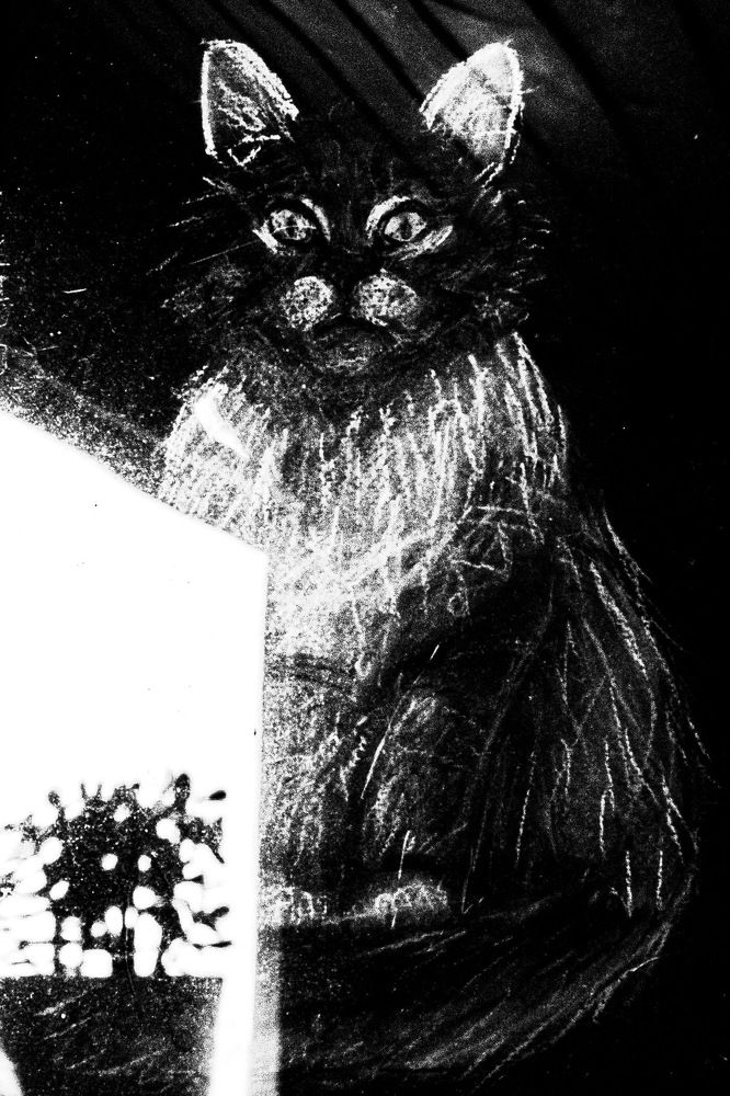 Photograph by Андрей