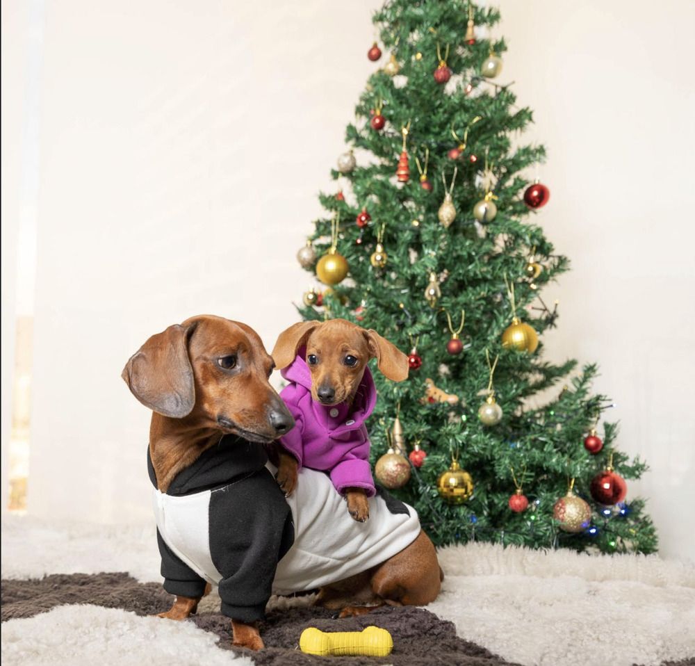 Photograph by Oscar Cortes Alarcón