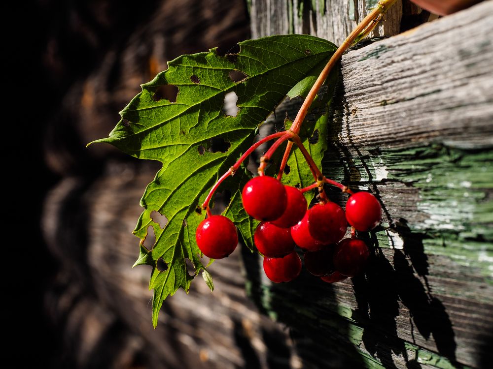 Photograph by Сергей Гаврилов