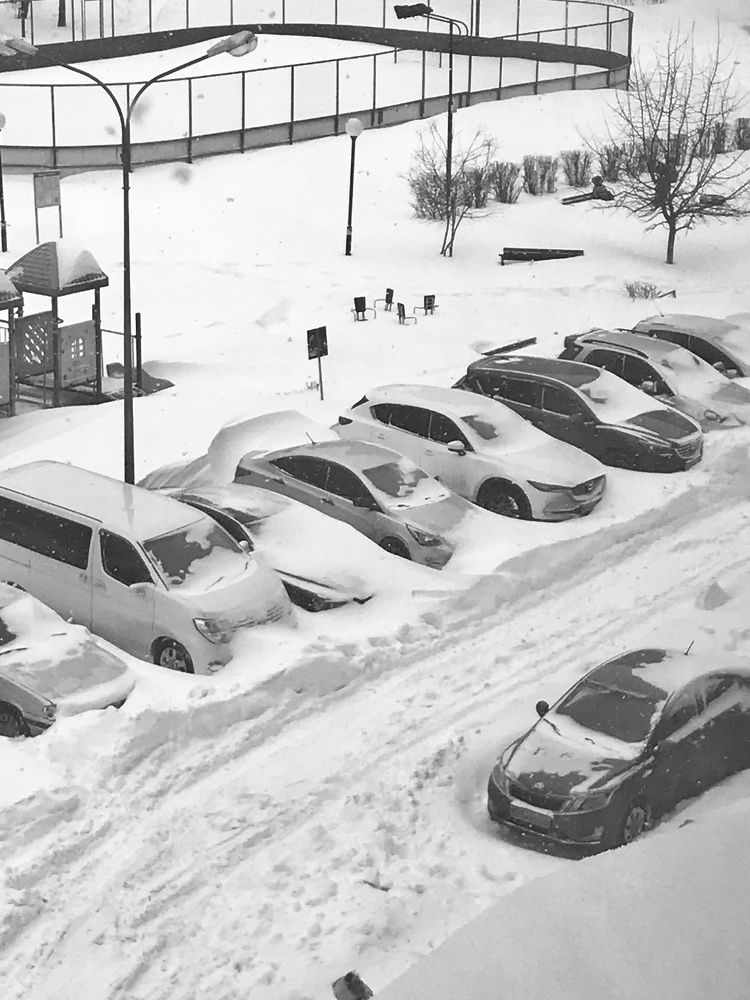 Photograph by Надежда Ткаченко