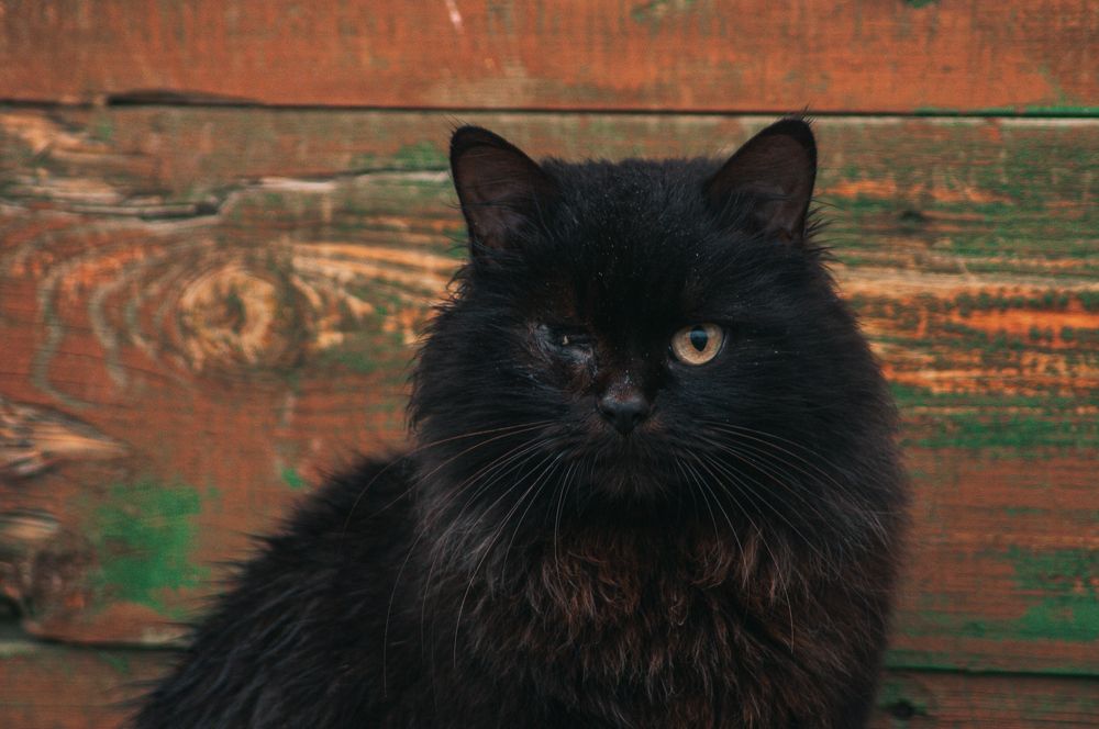 Photograph by Татьяна Зубехина