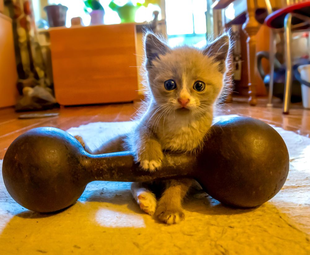 Будем здоровы.