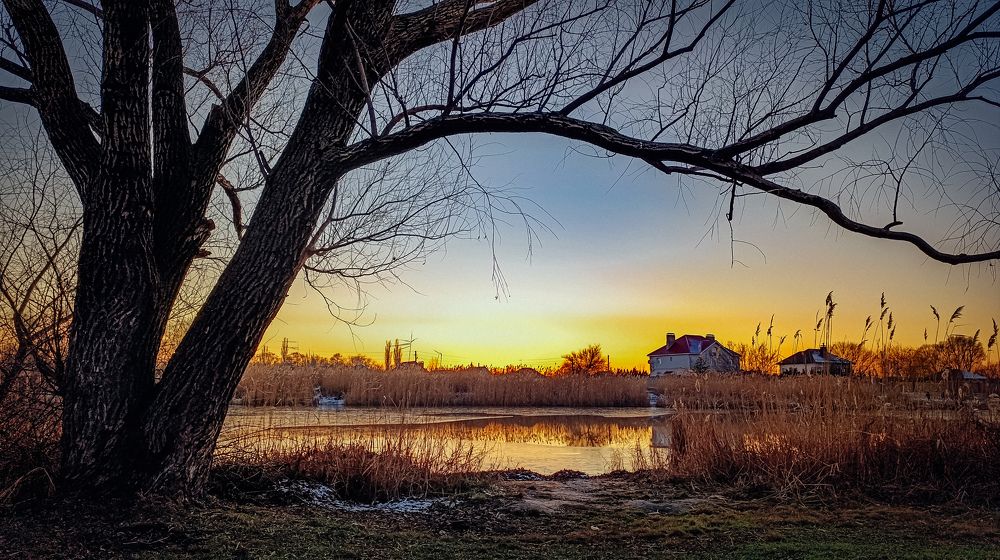 Photograph by Юлия Жукова