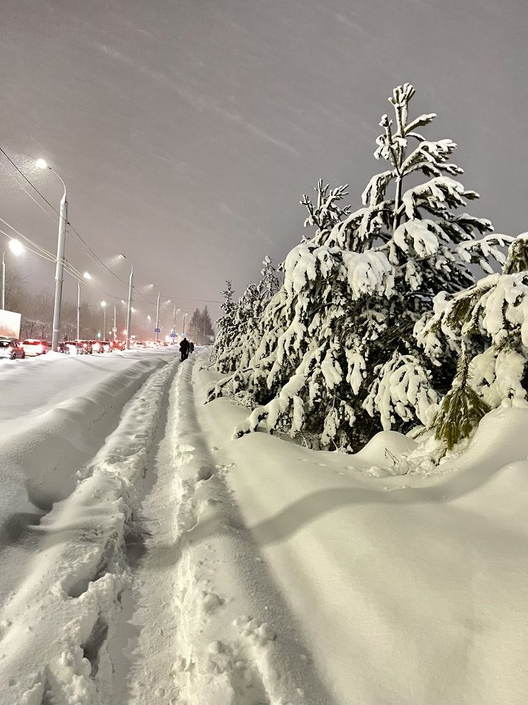 Photograph by Ирина Селиверстова