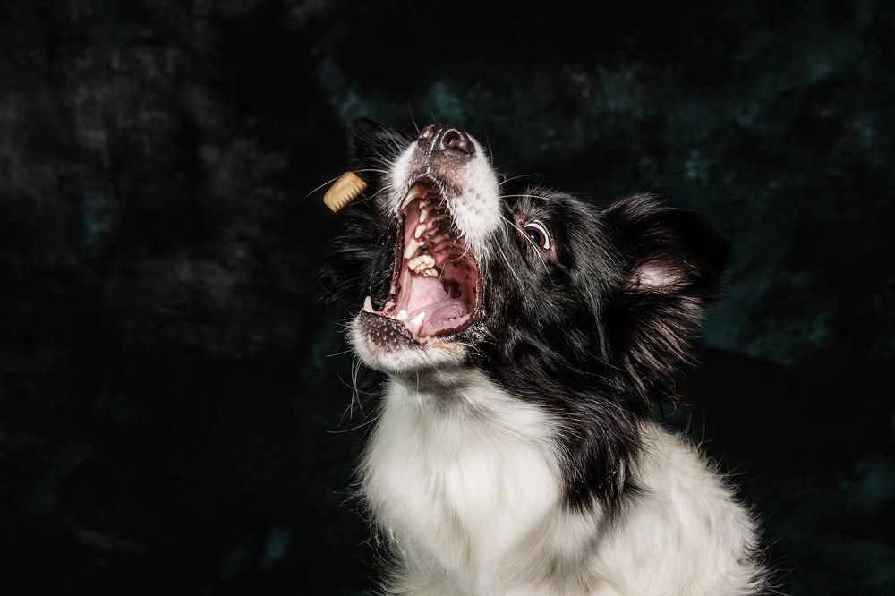 Photograph by Linda Celis