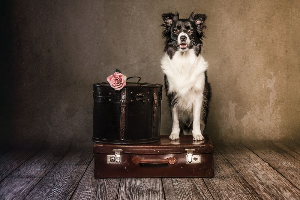 Фотография автора Linda Celis