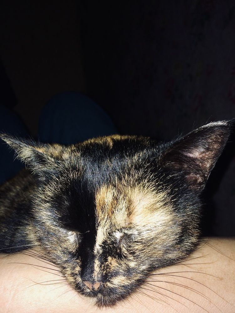 Photograph by Ирина Селиверстова