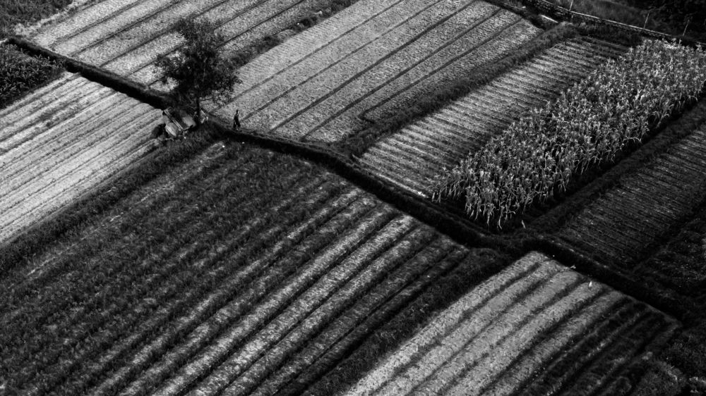 Photograph by Phu Phan Lap