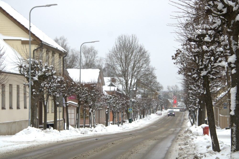 Photograph by Anna Baykova