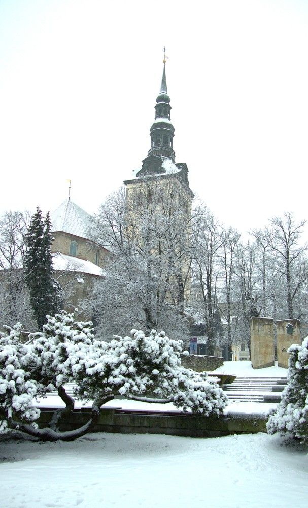 Photograph by Anna Baykova