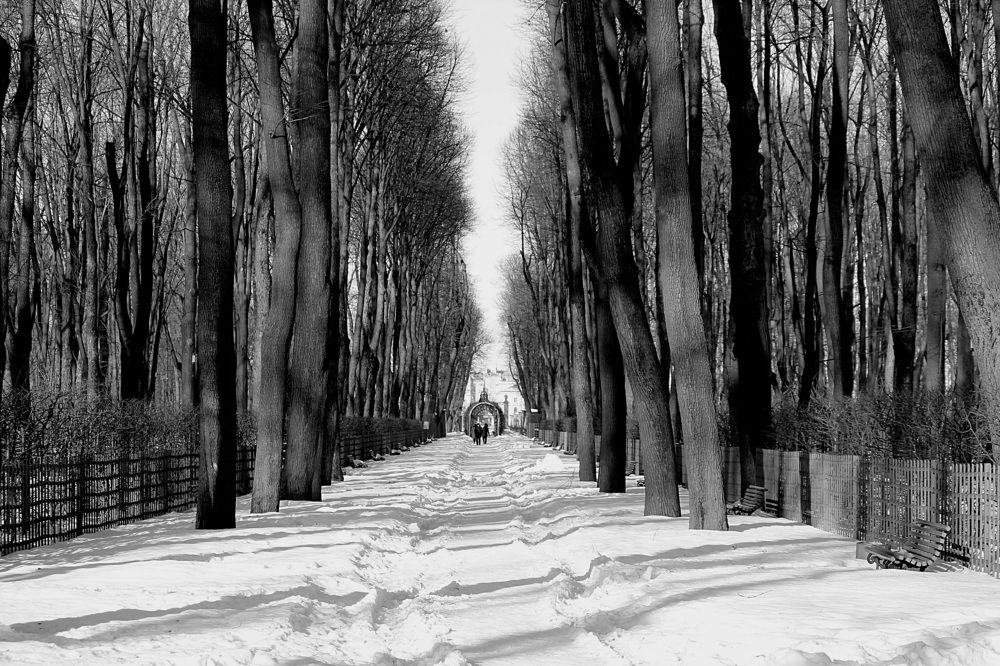 Photograph by Елена Николаева