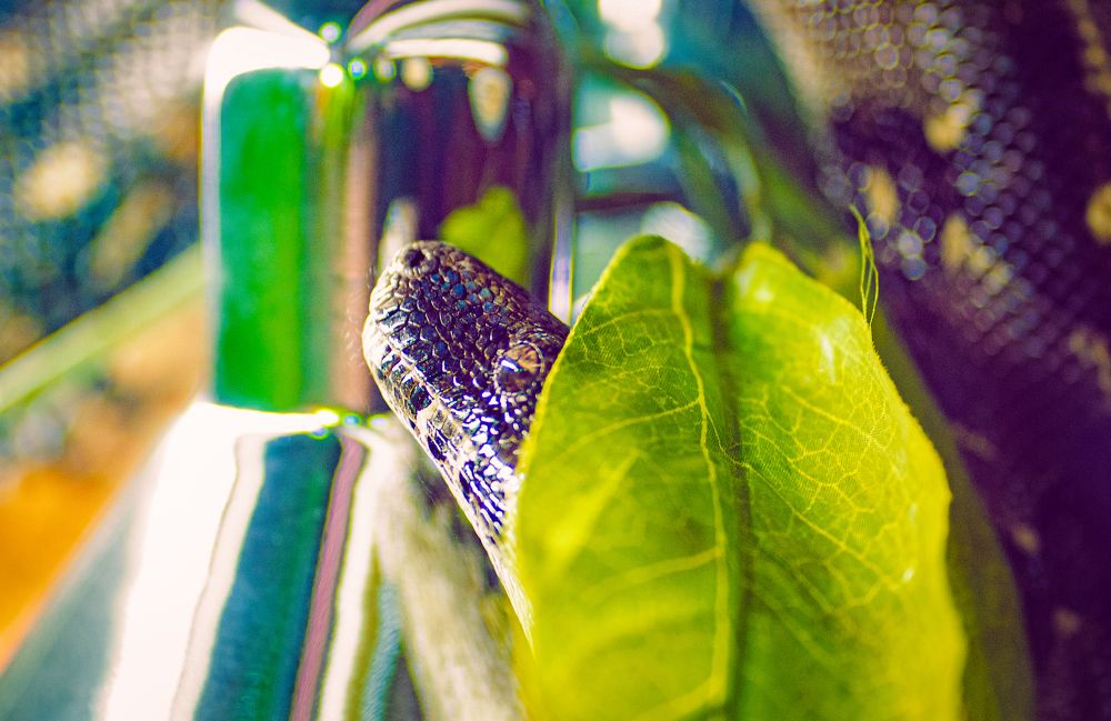 Photograph by Anna Prohorova