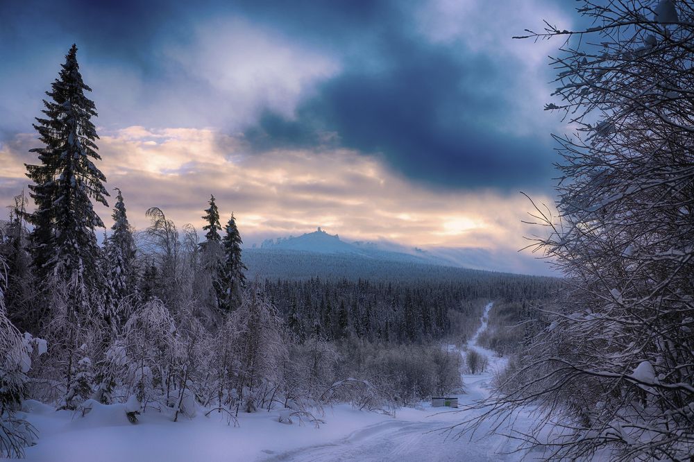 Фотография автора Павел Мартюшев