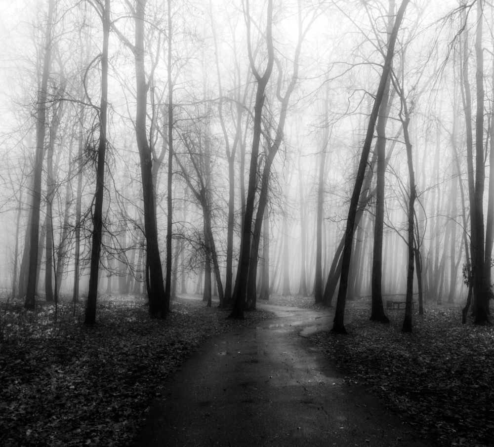 Фотография автора Александр Андреянов