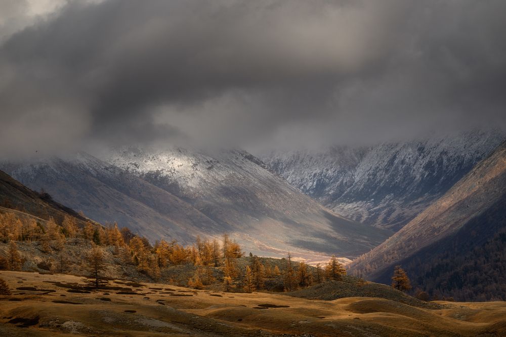 Photograph by Юлия Лаптева