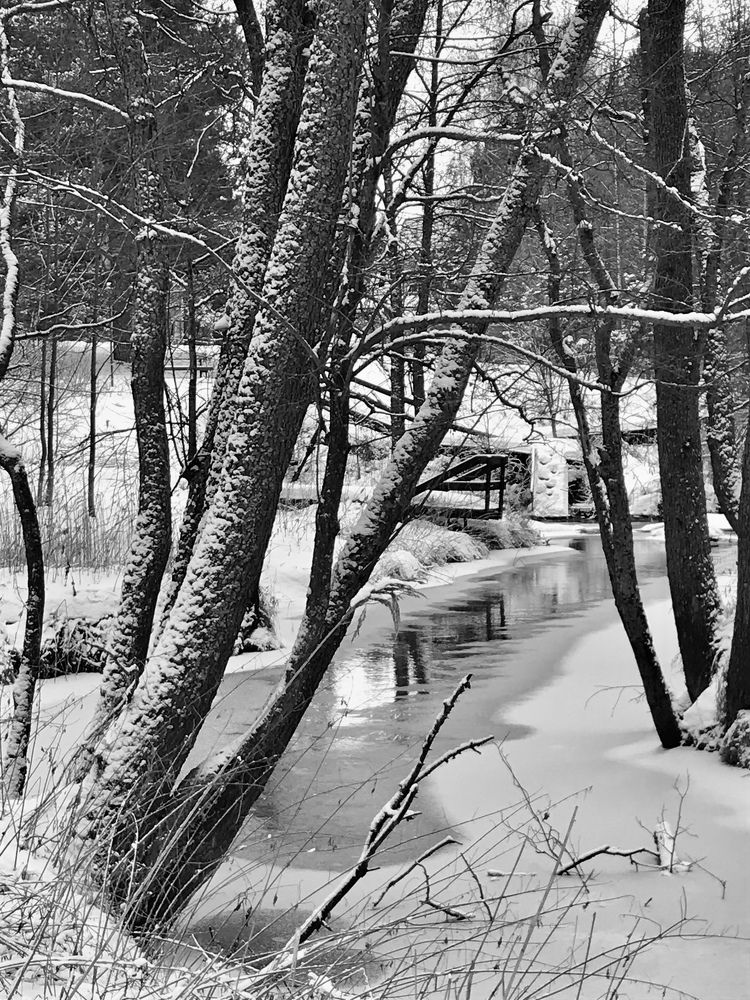 Photograph by Надежда Ткаченко