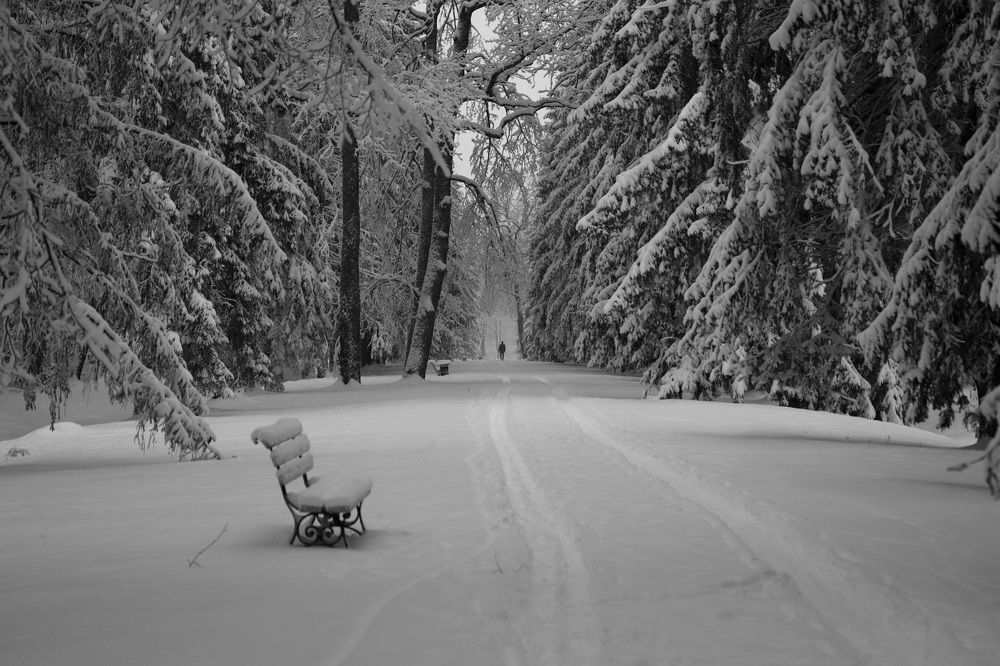 Зимнее утро