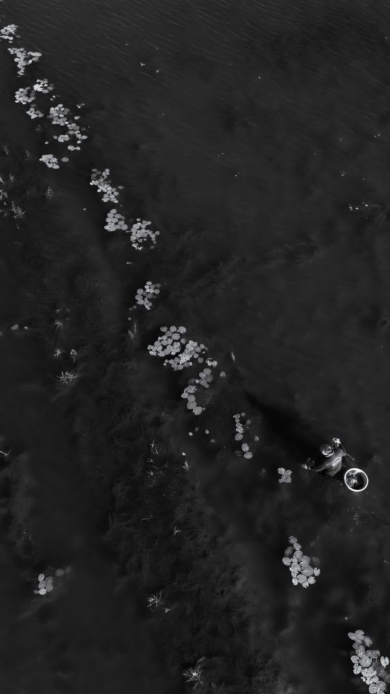 Photograph by Phu Phan Lap