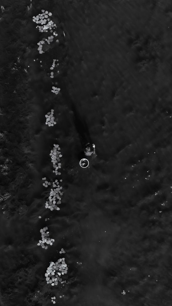 Photograph by Phu Phan Lap