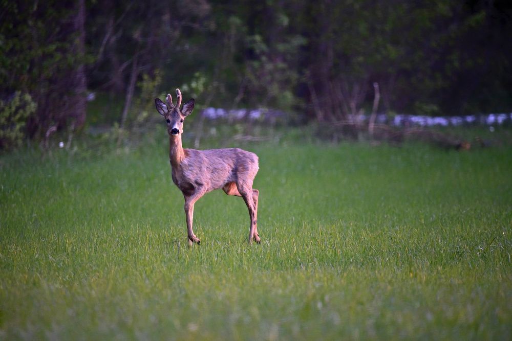 Photograph by Юлия Абрамова