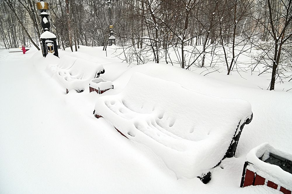 Фотография автора Коваленко Елена