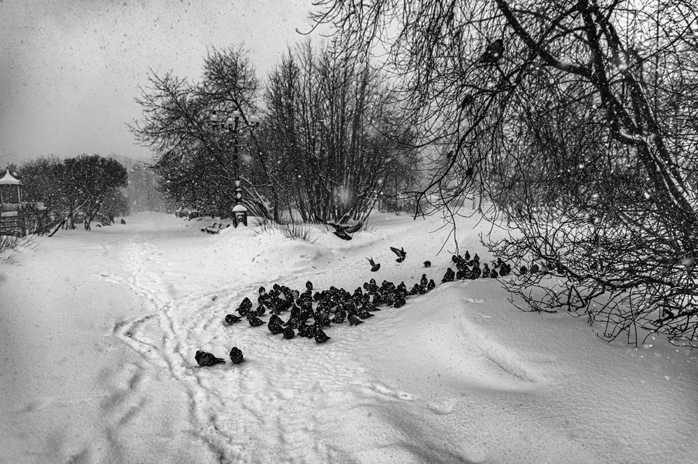 Фотография автора Коваленко Елена