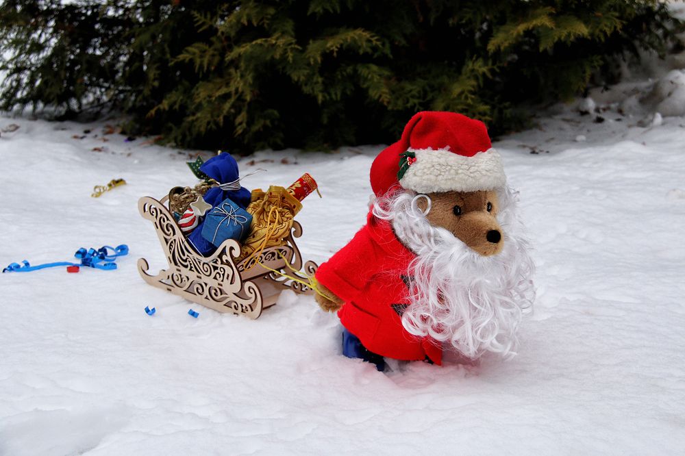 Фотография автора Елена Лаврова