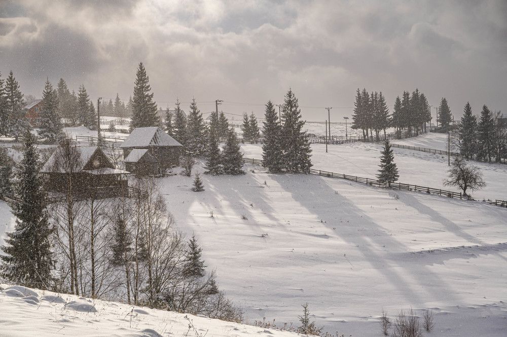 Photograph by levi bagy