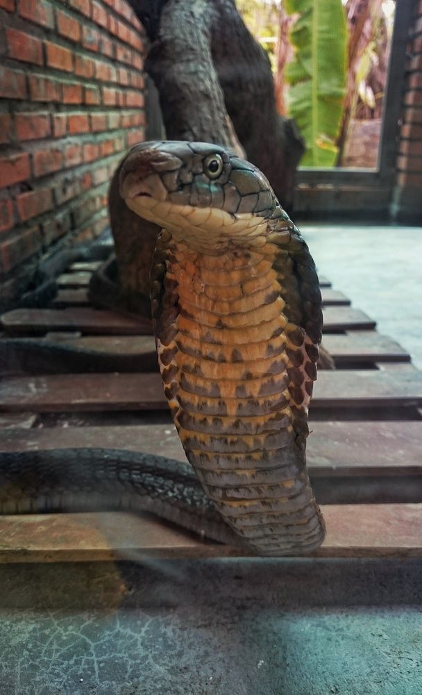 Photograph by Анна Киселёва