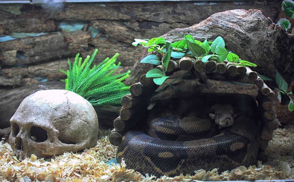 Photograph by Анна Киселёва