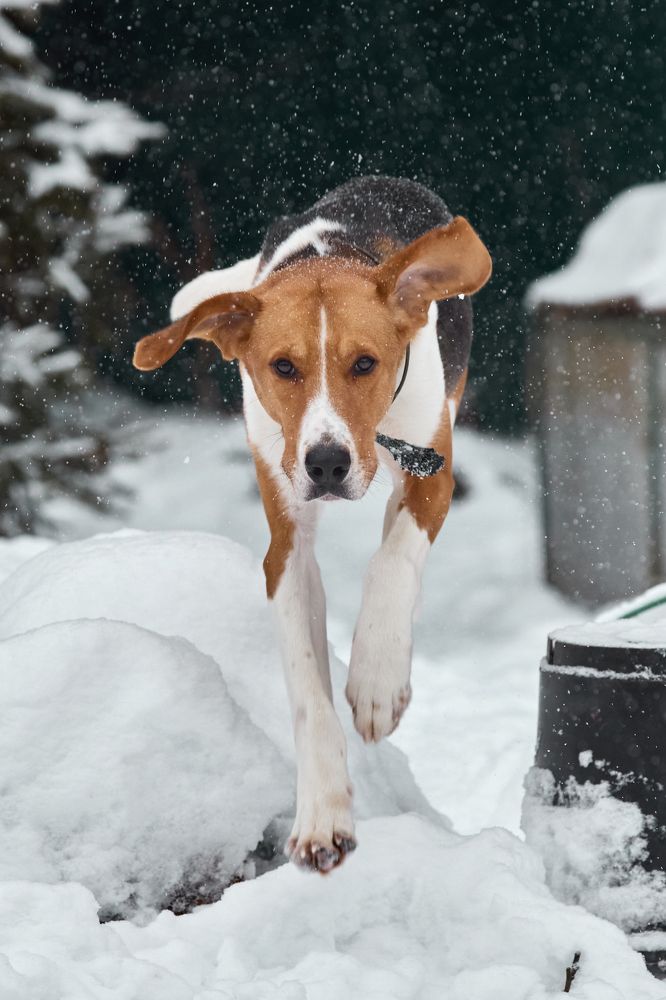Photograph by Владислав Данилов