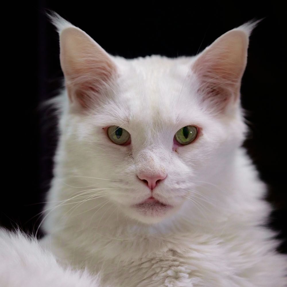 Photograph by Владислав Данилов