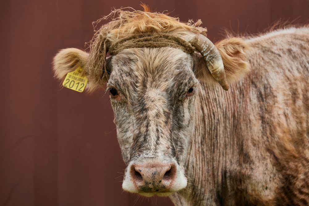 Photograph by Владислав Данилов