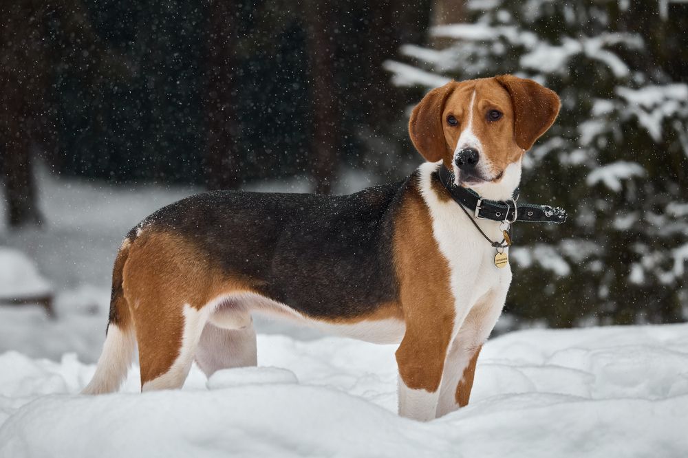 Photograph by Владислав Данилов