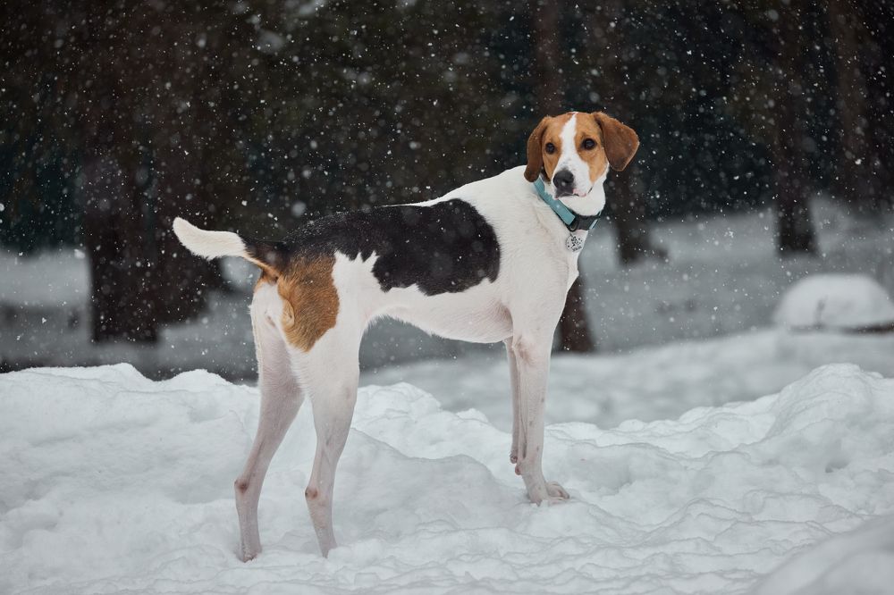 Photograph by Владислав Данилов