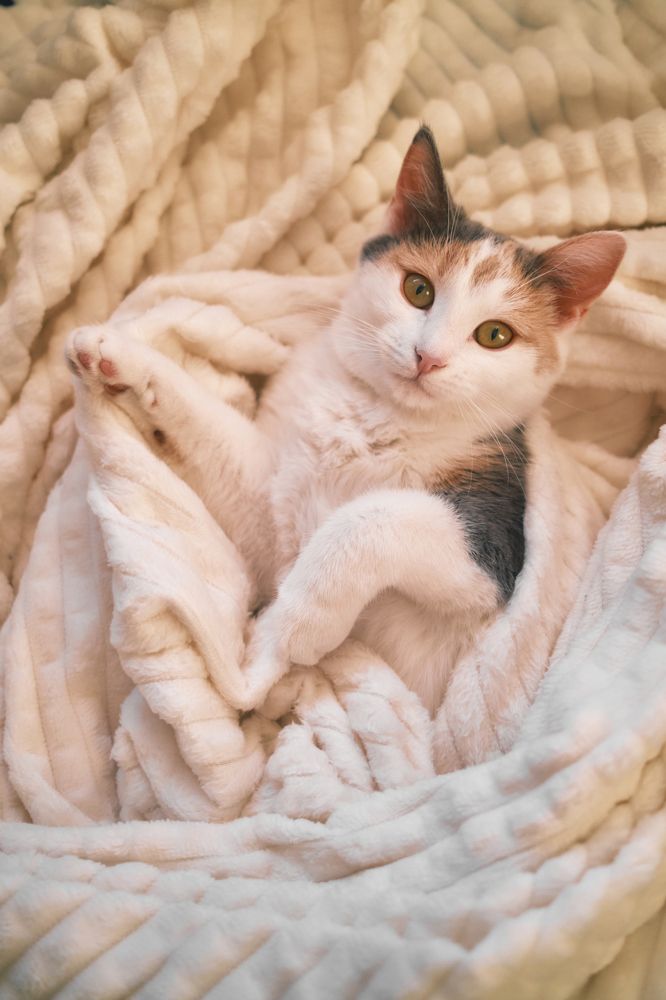 Photograph by Владислав Данилов