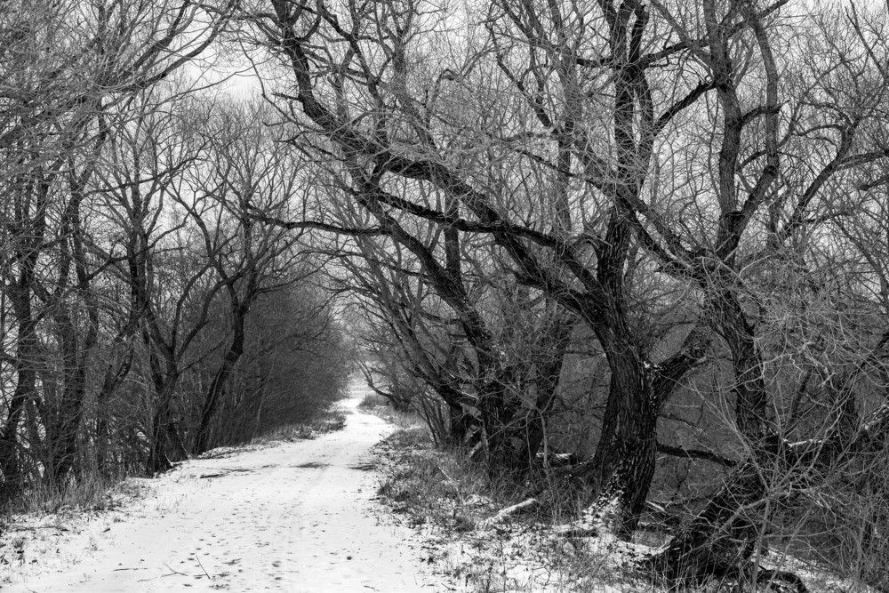 Фотография автора Aliaksandr Shautsou