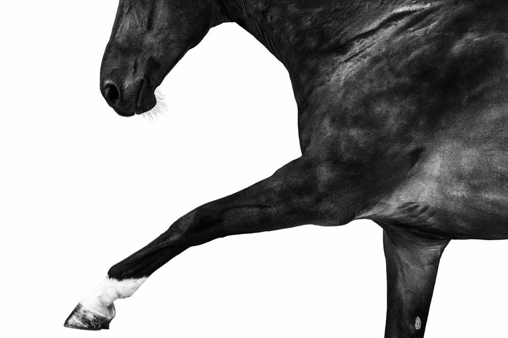 Photograph by Kristina Krasnova