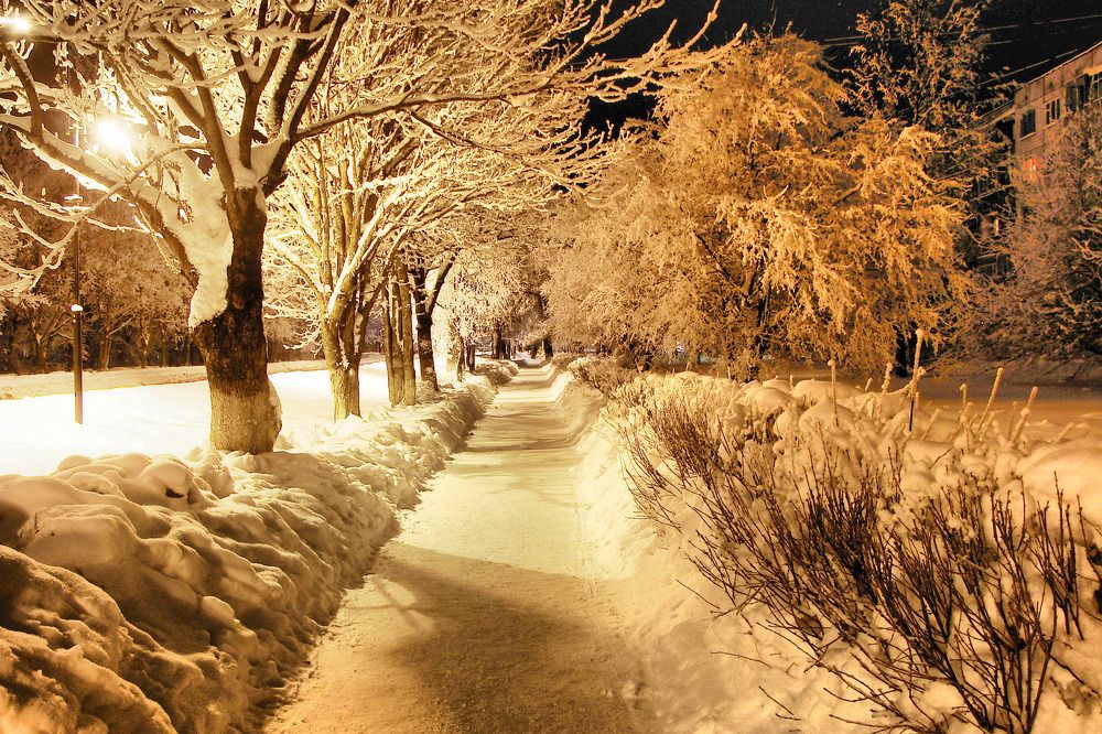 Photograph by Игорь Овсиенко