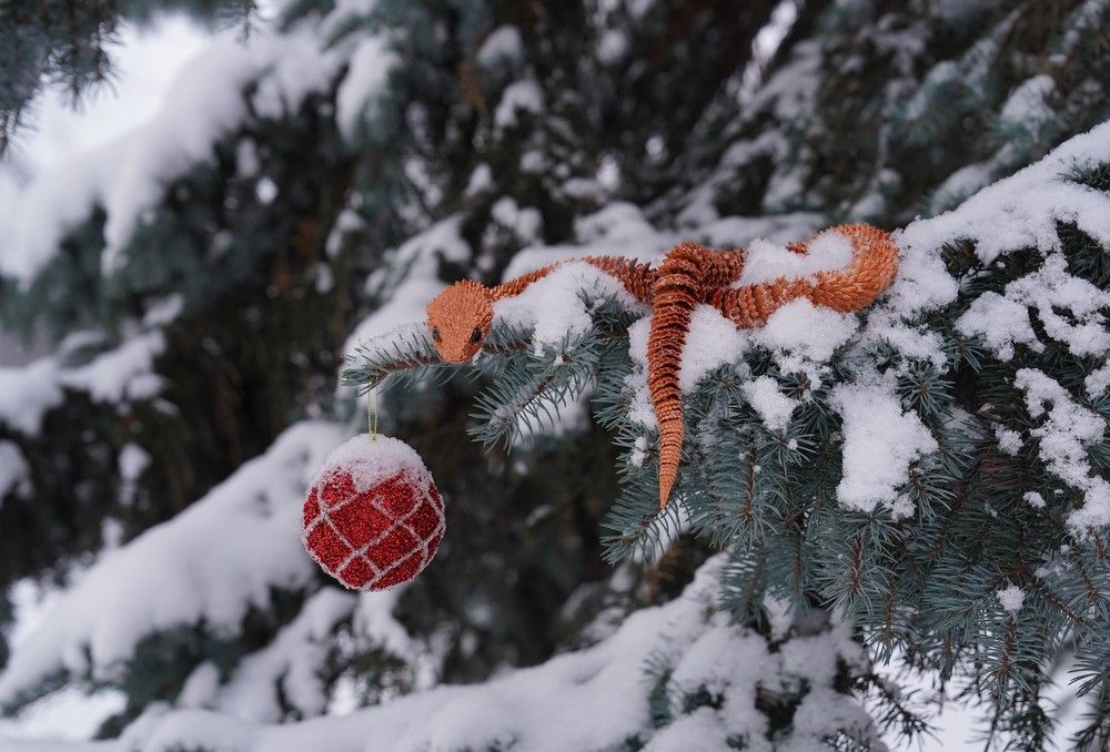 Photograph by Ковригина Евгения