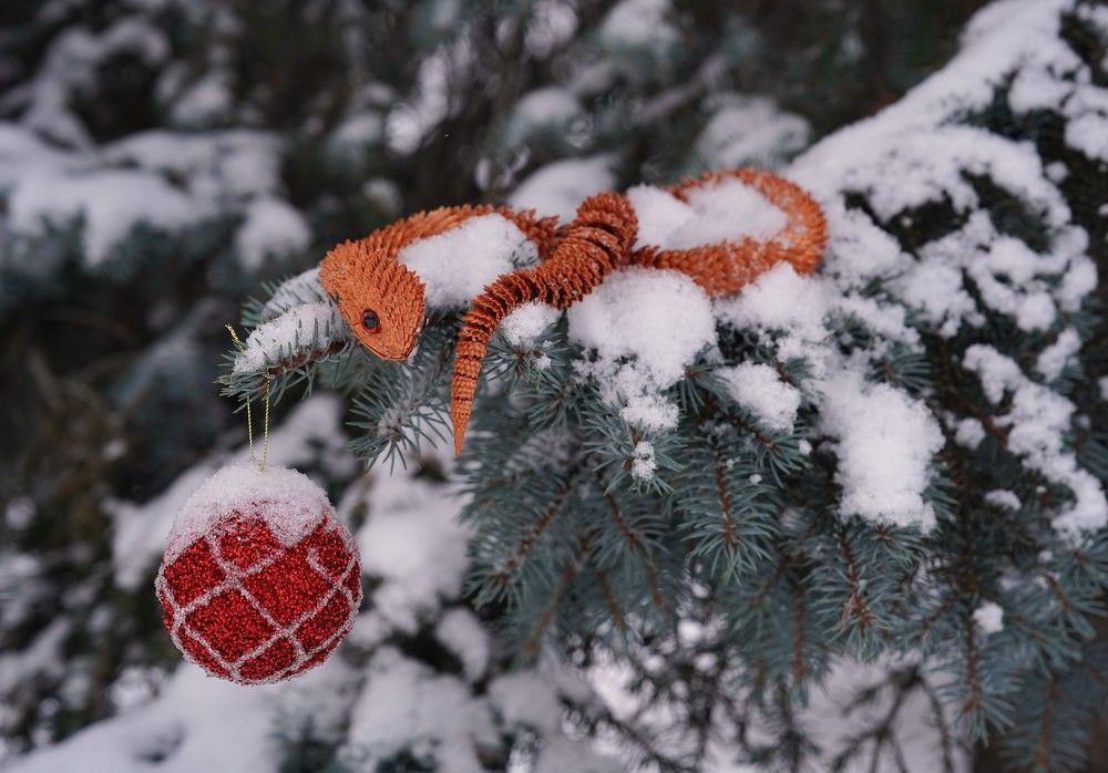 Photograph by Ковригина Евгения