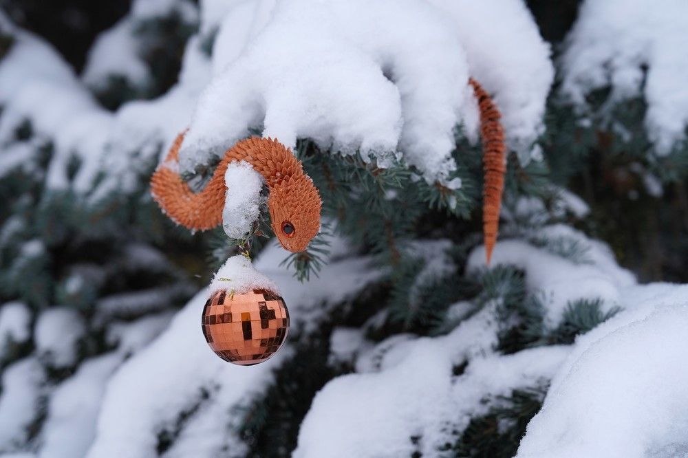 Photograph by Ковригина Евгения