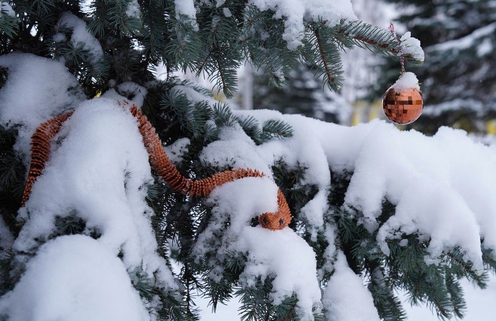 Photograph by Ковригина Евгения