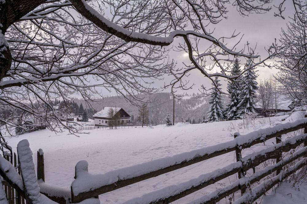 Photograph by levi bagy