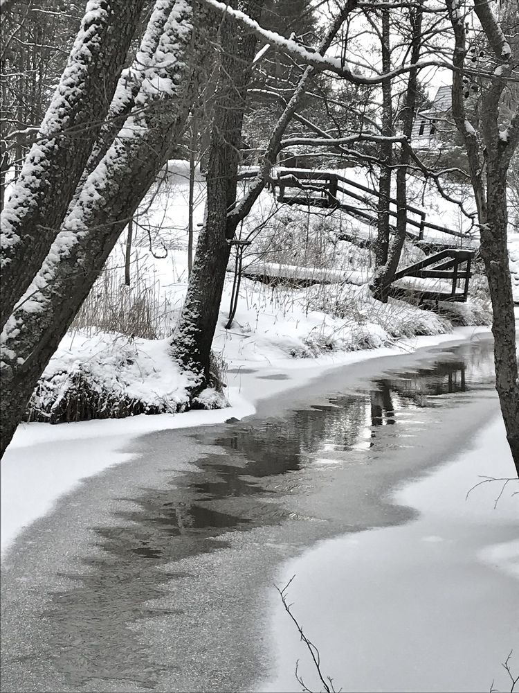 Photograph by Надежда Ткаченко
